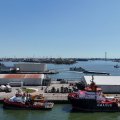 01231E2026DJI