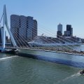 01371E2026DJI